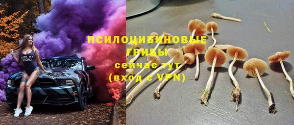 тгк Алексин