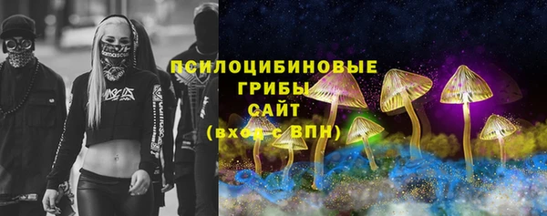 тгк Алексин